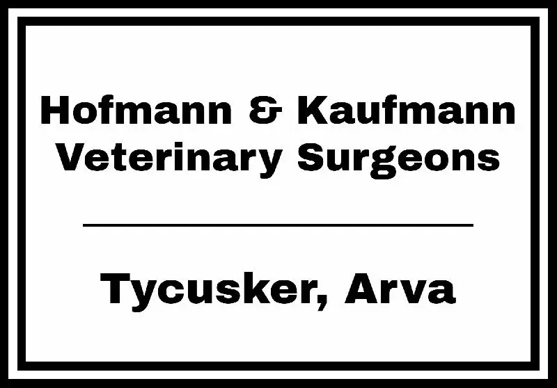 Hofmann & Kaufmann Logo (AD FOR CLASS)