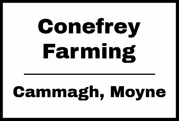 Conefrey Farming